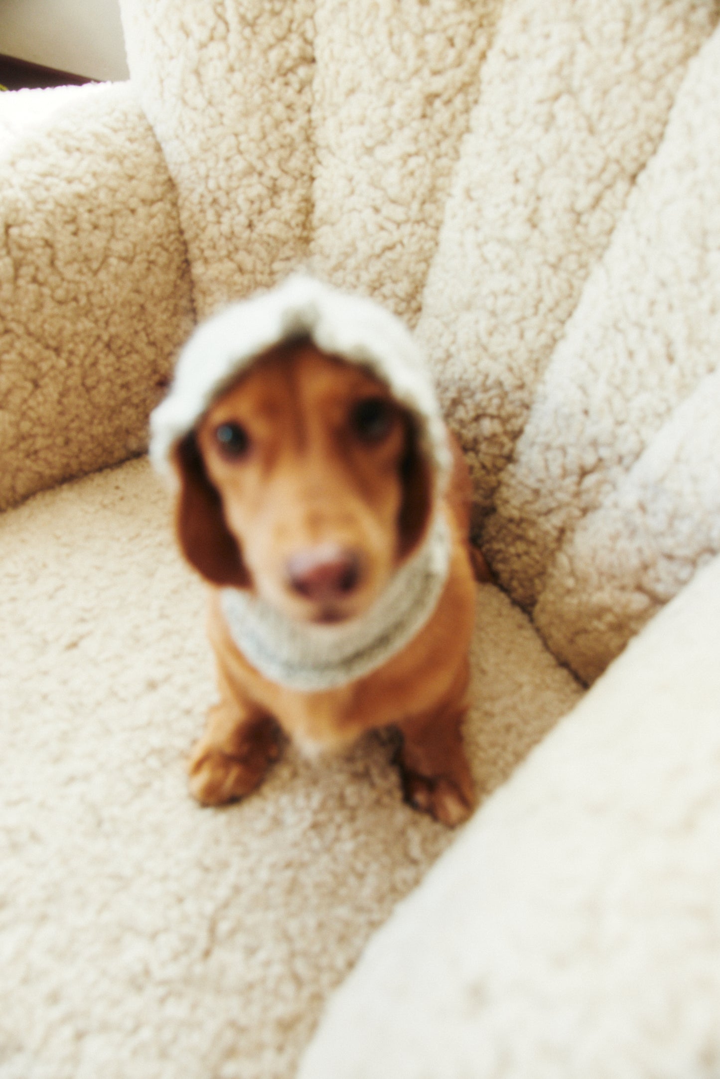 Balaclava Snughood