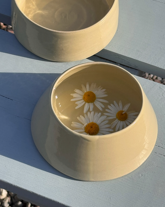 Dog Bowls